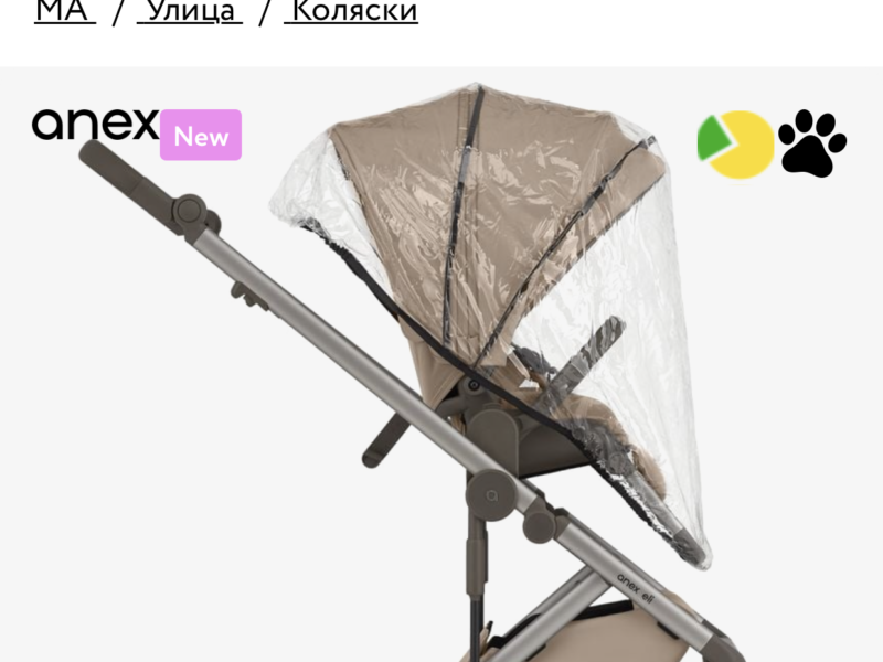 Коляска 2 в 1 Anex Eli