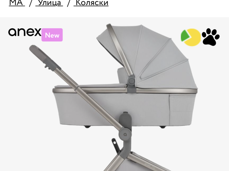 Універсальна коляска 2 в 1 Anex flo Frosy (fl-06с)