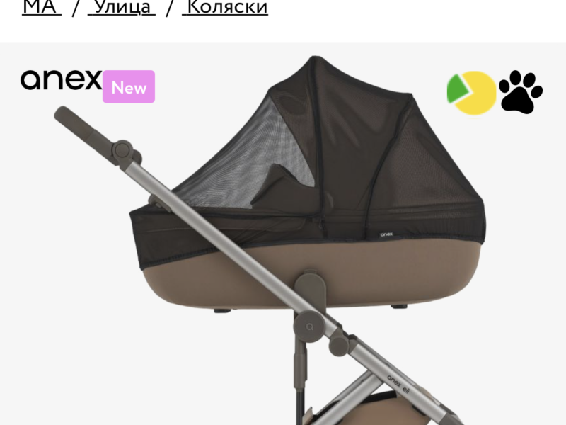 Коляска 2 в 1 Anex Eli