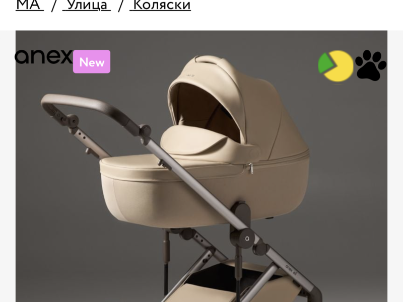 Коляска 2 в 1 Anex Eli