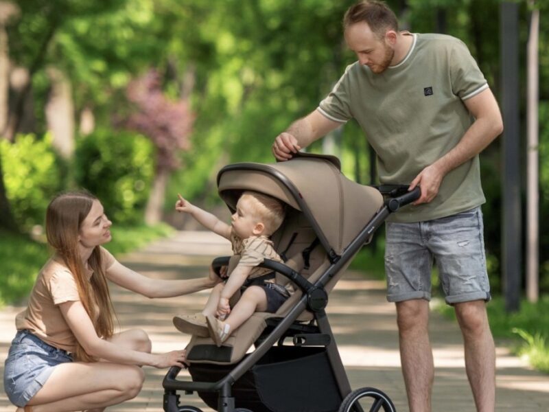 Carrello Bravo SL Deluxe Shuttle сірий Grey Spacerowy (UseOk 21559)