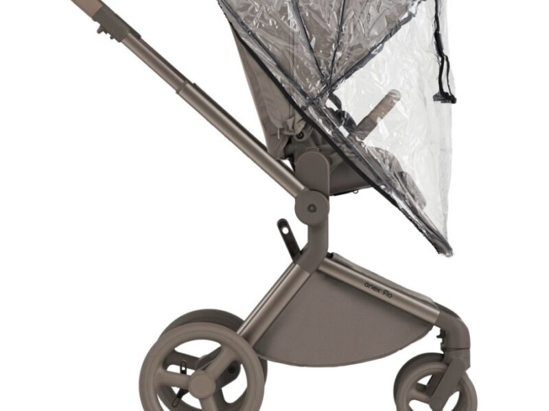 Дитяча коляска Anex Flo 2 в 1 Yuki