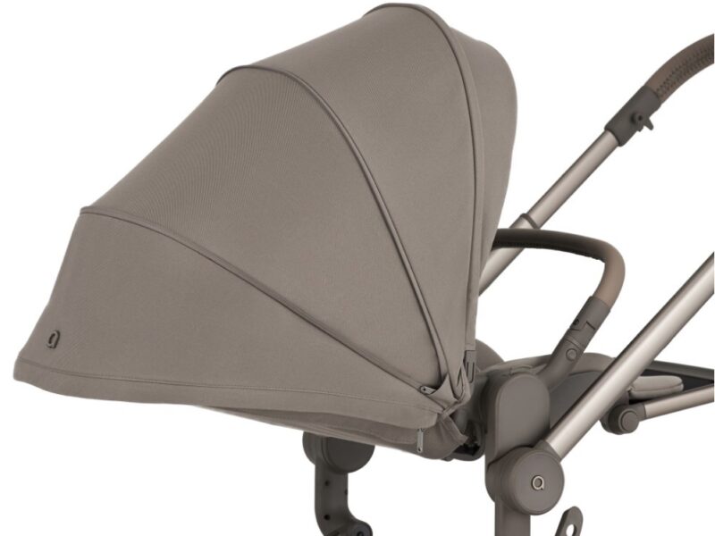 Дитяча коляска Anex Flo 2 в 1 Yuki