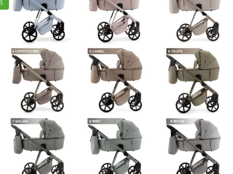 Коляска 2 в 1 Adamex Delta DN-2 rose