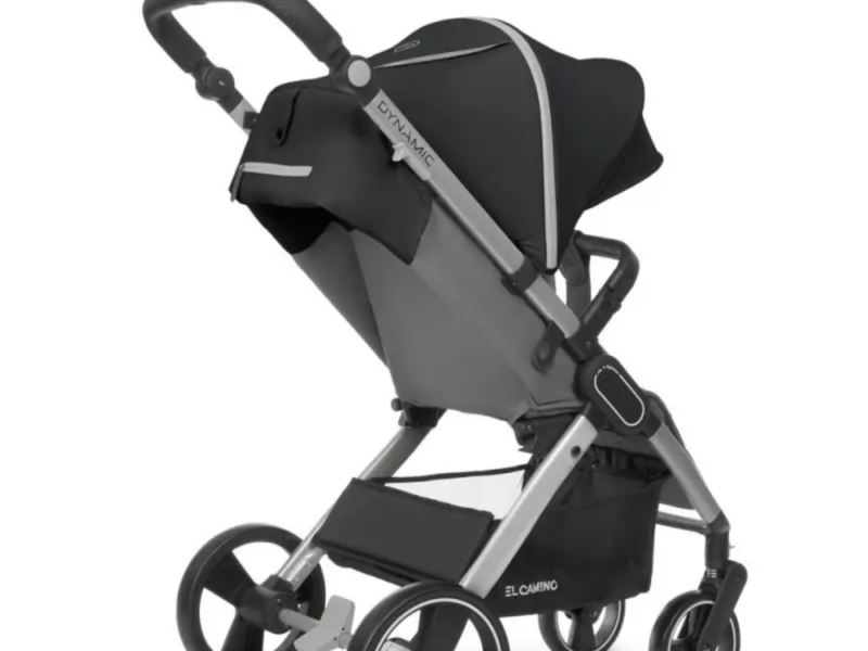 Коляска прогулянкова El Camino Dynamic V2 ME-1053-Onyx темно-сіра pelican