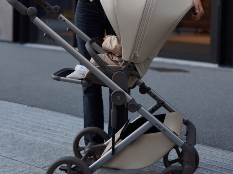 Anex Eli легкая детская коляска 2в1, всесезонная • Granti