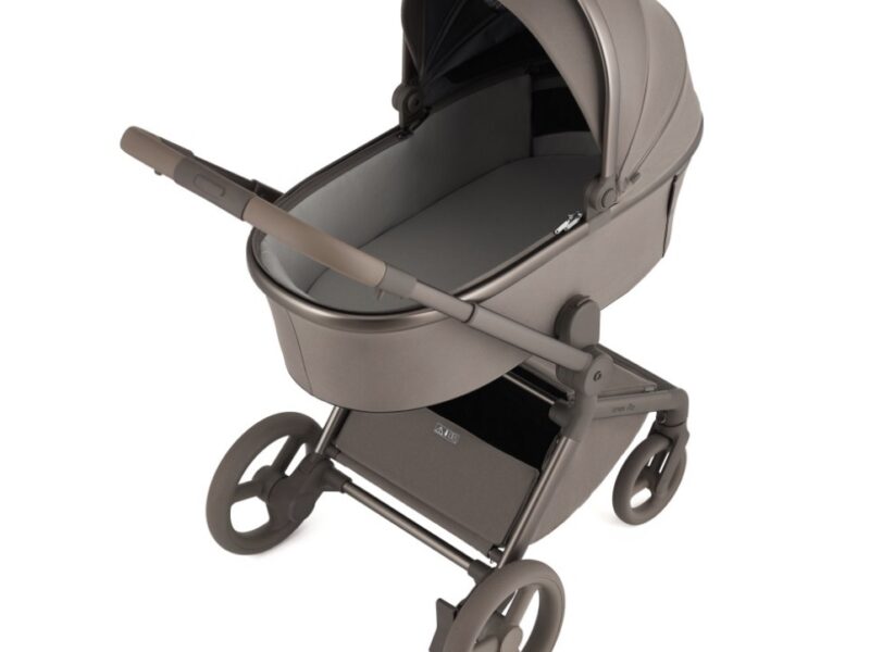 Дитяча коляска Anex Flo 2 в 1 Yuki