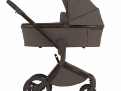 Коляска универсальная 2в1 Anex Flo, Browny