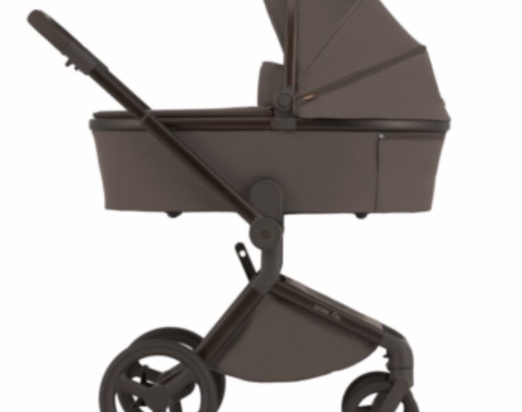 Коляска универсальная 2в1 Anex Flo, Browny