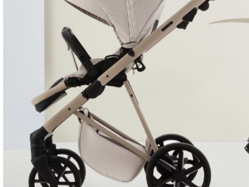 Коляска 2 в 1 Adamex Delta DN-2 rose