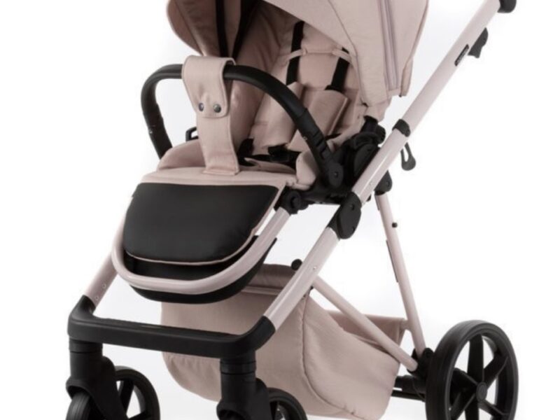 Коляска 2 в 1 Adamex Delta DN-2 rose