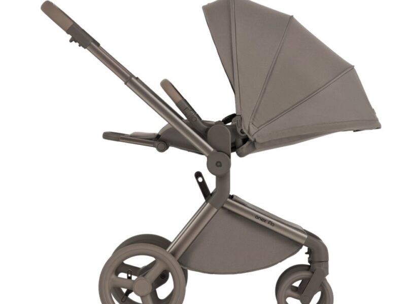 Дитяча коляска Anex Flo 2 в 1 Yuki