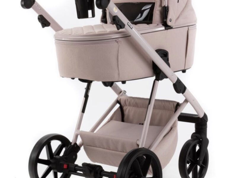 Коляска 2 в 1 Adamex Delta DN-2 rose