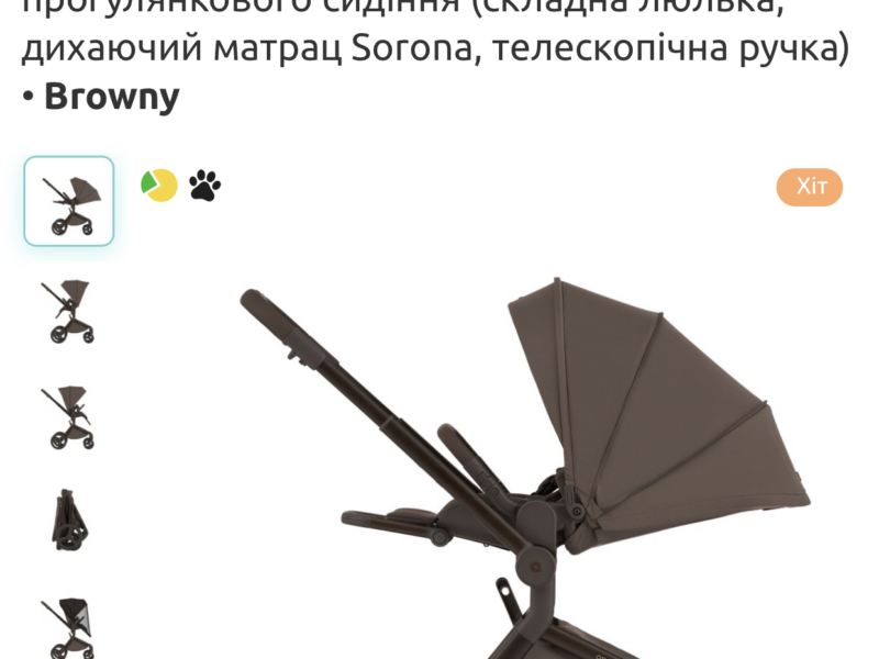 Коляска универсальная 2в1 Anex Flo, Browny