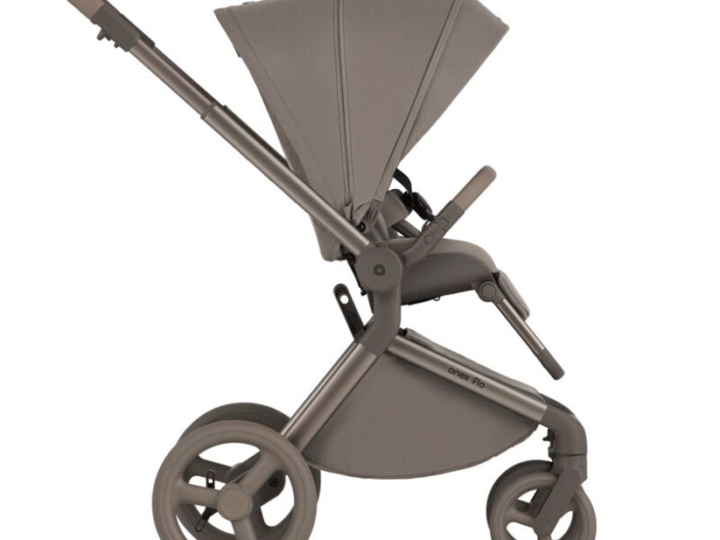 Дитяча коляска Anex Flo 2 в 1 Yuki