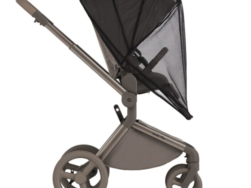 Дитяча коляска Anex Flo 2 в 1 Yuki