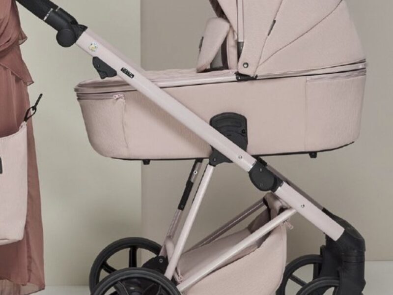 Коляска 2 в 1 Adamex Delta DN-2 rose