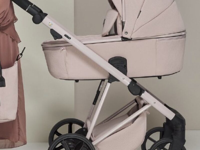 Коляска 2 в 1 Adamex Delta DN-2 rose