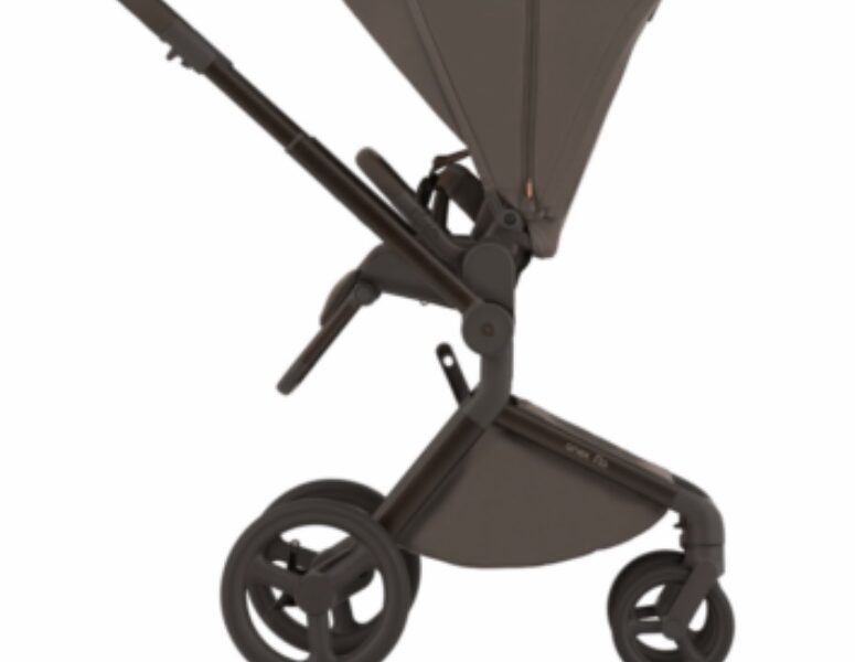 Коляска универсальная 2в1 Anex Flo, Browny