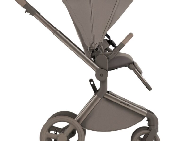 Дитяча коляска Anex Flo 2 в 1 Yuki