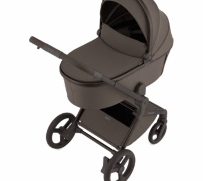 Коляска универсальная 2в1 Anex Flo, Browny