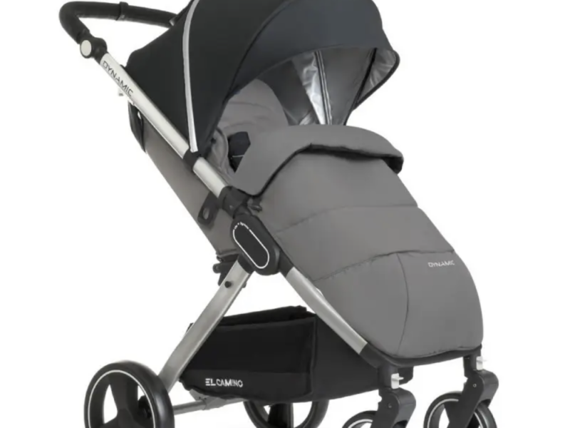 Коляска прогулянкова El Camino Dynamic V2 ME-1053-Onyx темно-сіра pelican