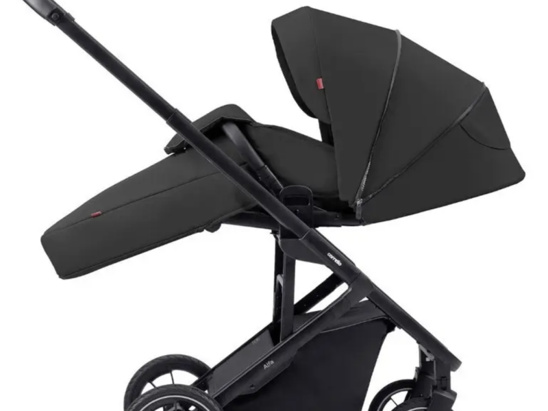 Прогулянкова коляска CARRELLO Alfa CRL-5508 BF Midnight Black /1/