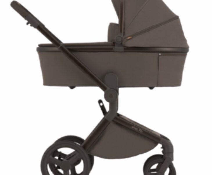 Коляска универсальная 2в1 Anex Flo, Browny