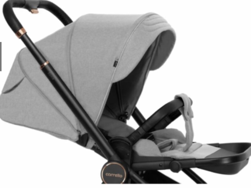 Універсальна дитяча коляска 2в1 від CARRELLO Epica Темно-сірий Код CRL 8510-1