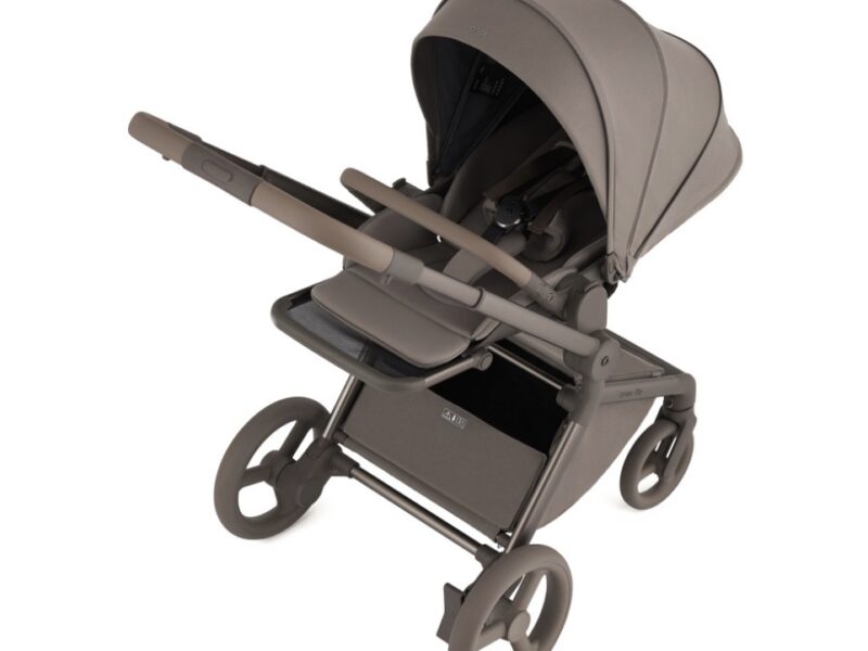 Дитяча коляска Anex Flo 2 в 1 Yuki