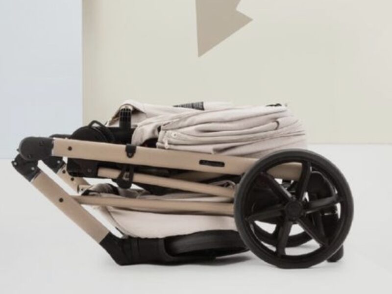 Коляска 2 в 1 Adamex Delta DN-2 rose