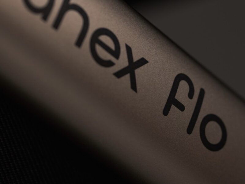 Дитяча коляска Anex Flo 2 в 1 Yuki