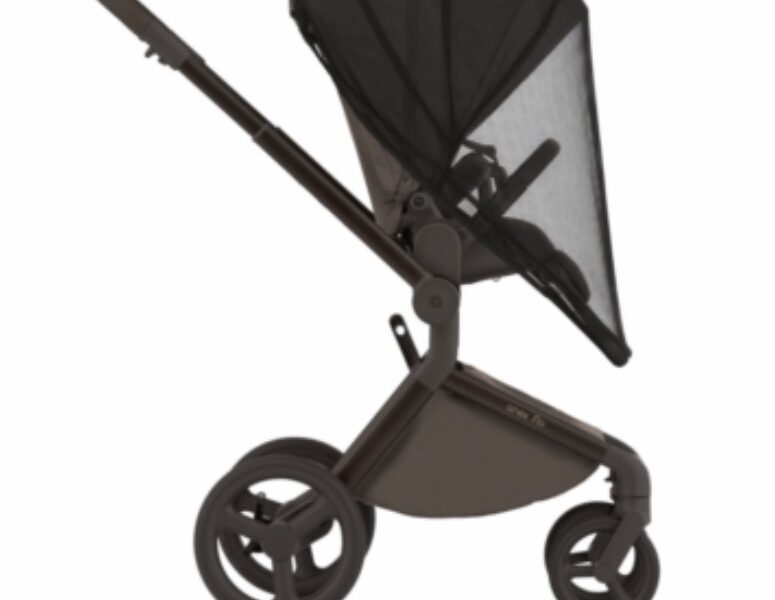Коляска универсальная 2в1 Anex Flo, Browny