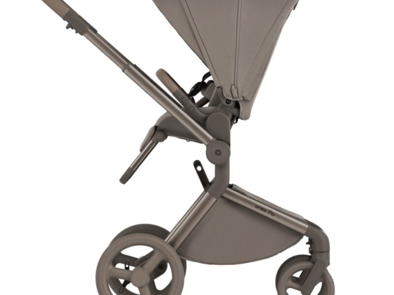 Дитяча коляска Anex Flo 2 в 1 Yuki