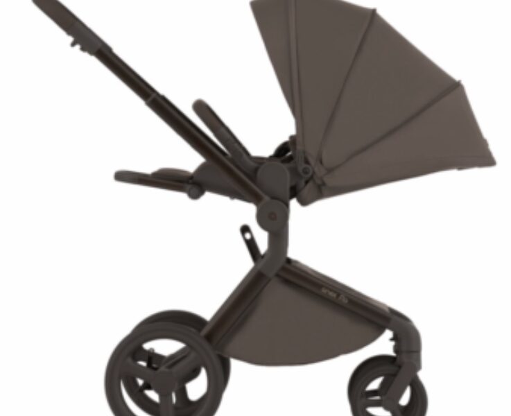 Коляска универсальная 2в1 Anex Flo, Browny