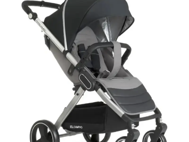 Коляска прогулянкова El Camino Dynamic V2 ME-1053-Onyx темно-сіра pelican