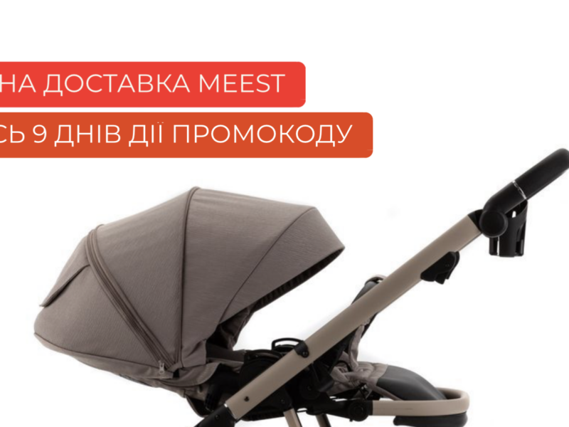 Коляска 2 в 1 Adamex Delta DN-4 cappuccino