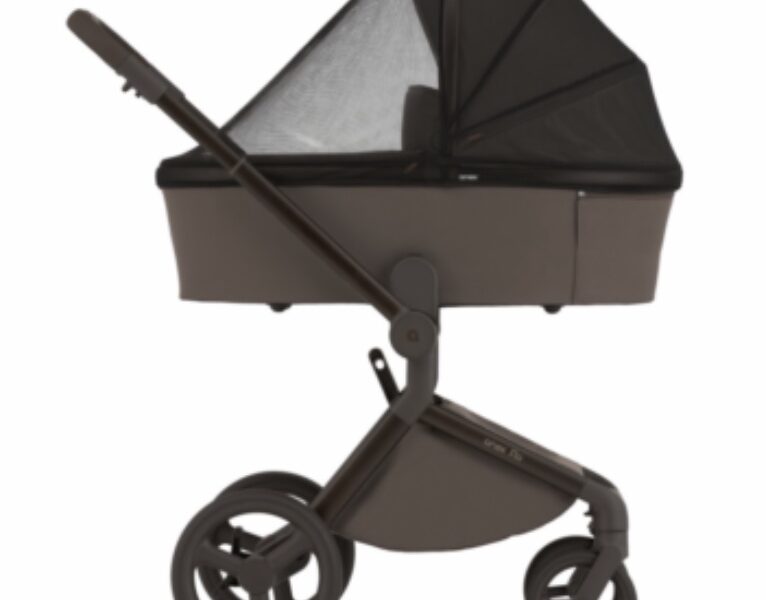 Коляска универсальная 2в1 Anex Flo, Browny