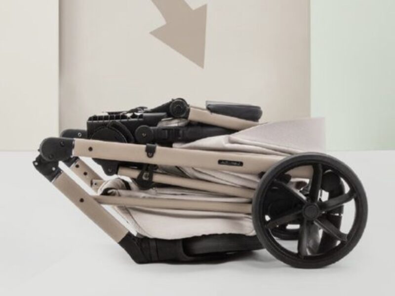 Коляска 2 в 1 Adamex Delta DN-2 rose