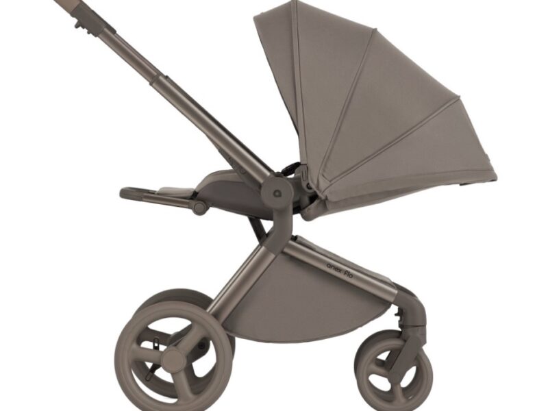 Дитяча коляска Anex Flo 2 в 1 Yuki