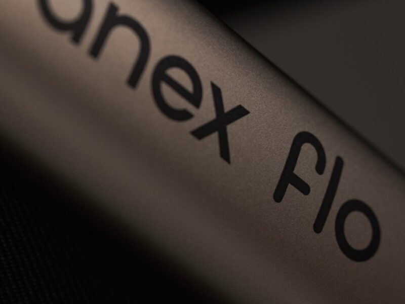 Дитяча коляска Anex Flo 2 в 1 Yuki