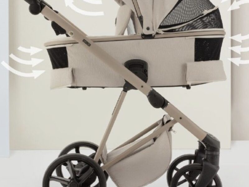 Коляска 2 в 1 Adamex Delta DN-2 rose