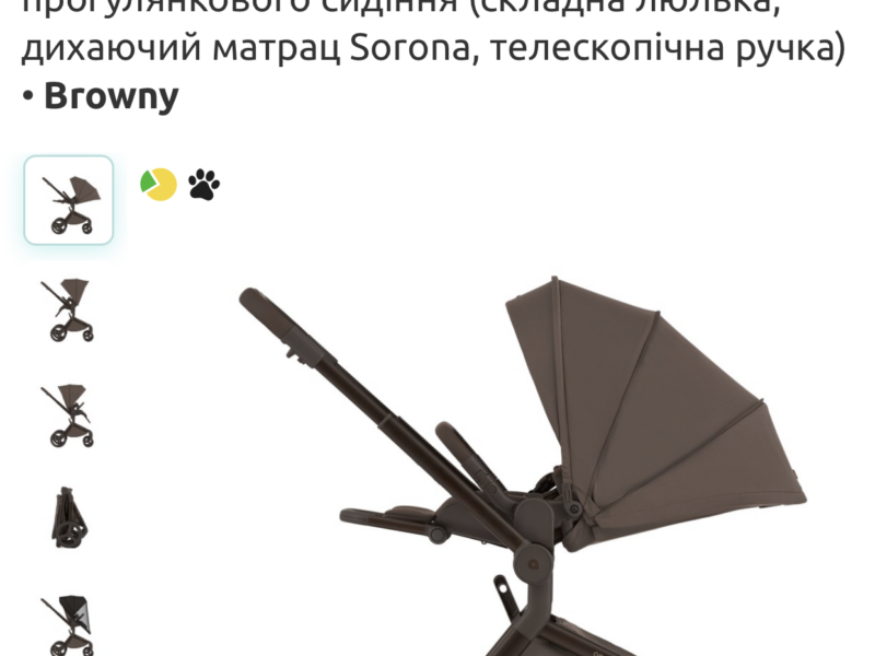 Коляска универсальная 2в1 Anex Flo, Browny