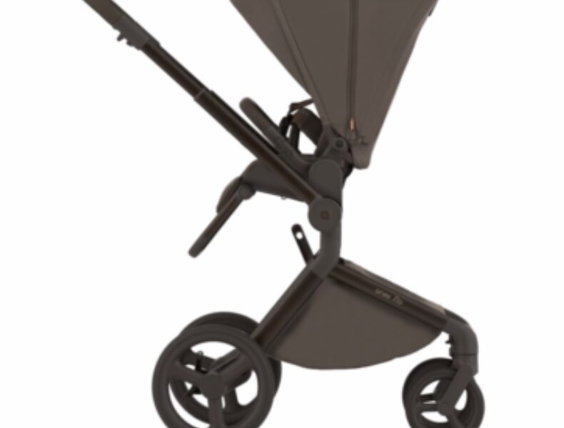 Коляска универсальная 2в1 Anex Flo, Browny