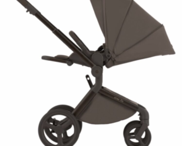 Коляска универсальная 2в1 Anex Flo, Browny