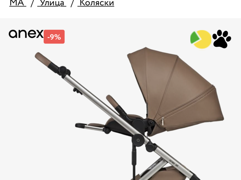  коляска 2 в 1 Anex Eli 