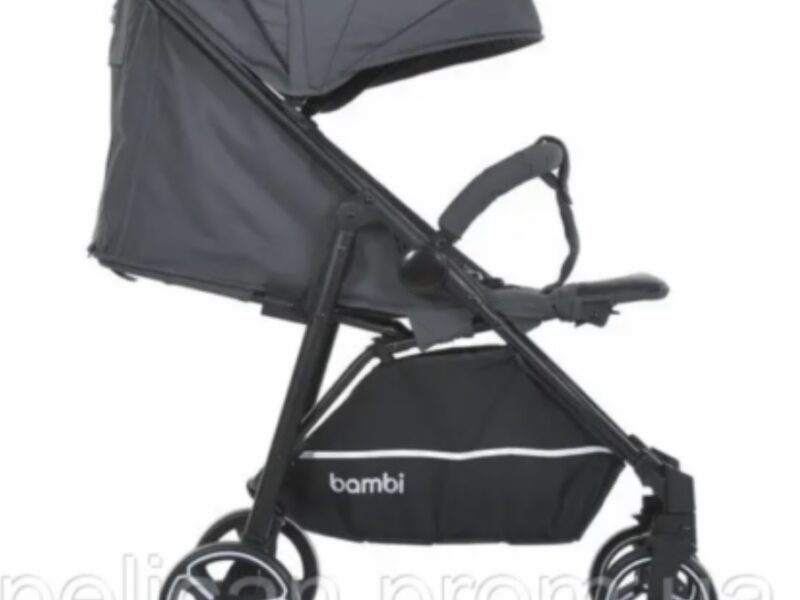 Коляска прогулянкова Bambi M-4249-2-Gray-Matt сіра 4863841