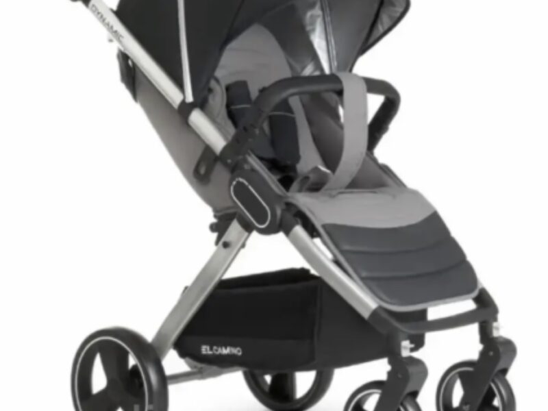 Коляска прогулянкова El Camino Dynamic V2 ME-1053-Onyx темно-сіра pelican