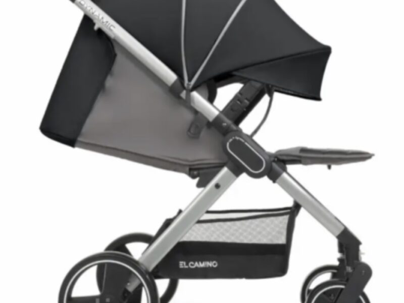 Коляска прогулянкова El Camino Dynamic V2 ME-1053-Onyx темно-сіра pelican
