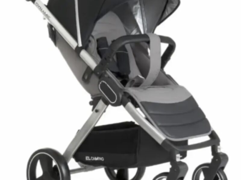 Коляска прогулянкова El Camino Dynamic V2 ME-1053-Onyx темно-сіра pelican